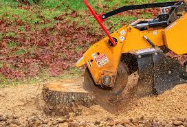 Mulching Services in Petersburg, IL